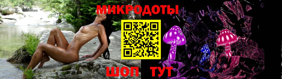 Галлюциногенные грибы Psilocybine cubensis  Псилоцибиновые грибы Psilocybe  Каменка  Вход с VPN 